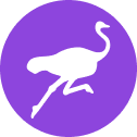 nostr icon